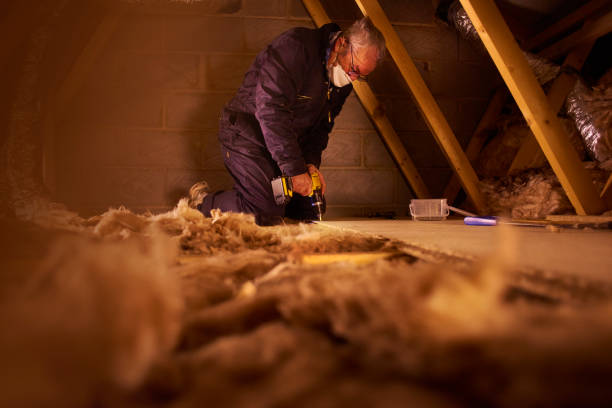 Best Insulation Maintenance and Repair in Roselle Park, NJ
